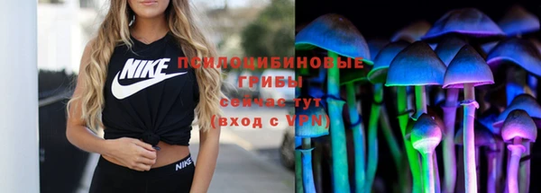 мдпв Вязники