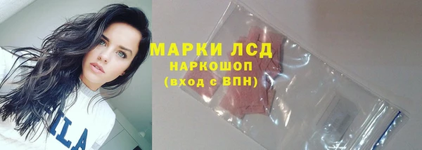 дживик Краснослободск