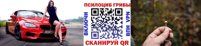 что такое наркотик  Александровск  Галлюциногенные грибы Cubensis 
